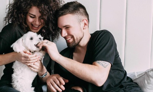 a man and woman sitting on a bed playing with a dog